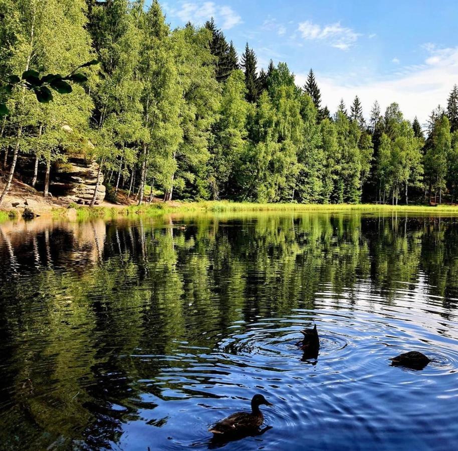 Teplice nad Metují Chalupa Bisikゲストハウス エクステリア 写真